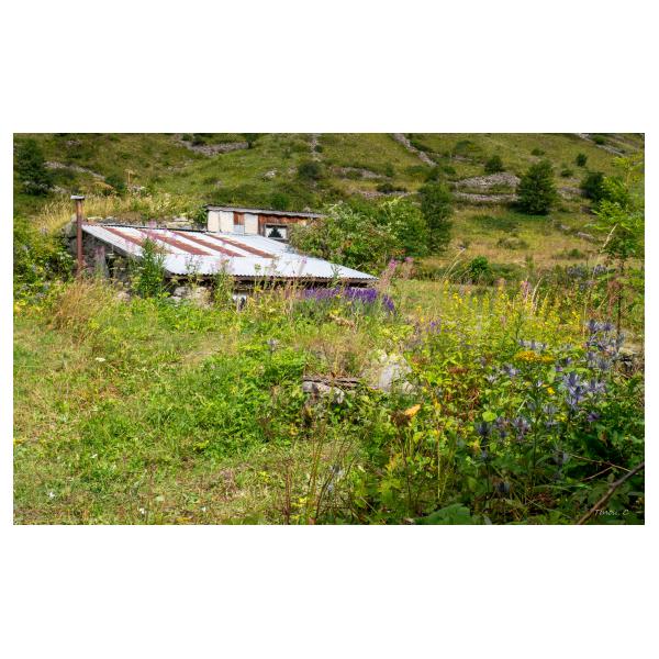 PHOTO84, CLUB, 84 , LUBERON